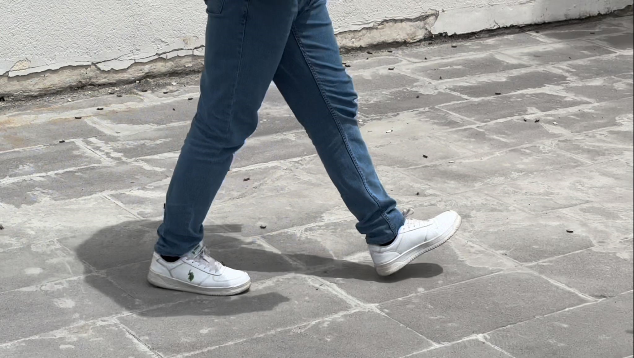 Vatandaşlar endişeli! Şehri istila ettiler!