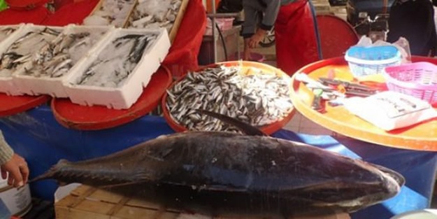 Vatandaşlar şaşkına döndü