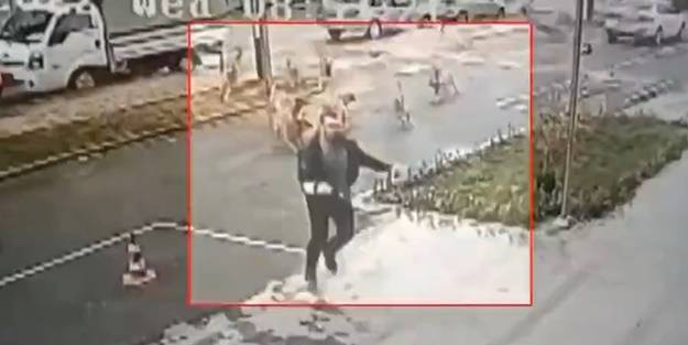 Vatandaşlar soruyor: Sokaklar köpeklerin işgali altında, devlet nerede? 'İtçiler'i kimler koruyor?