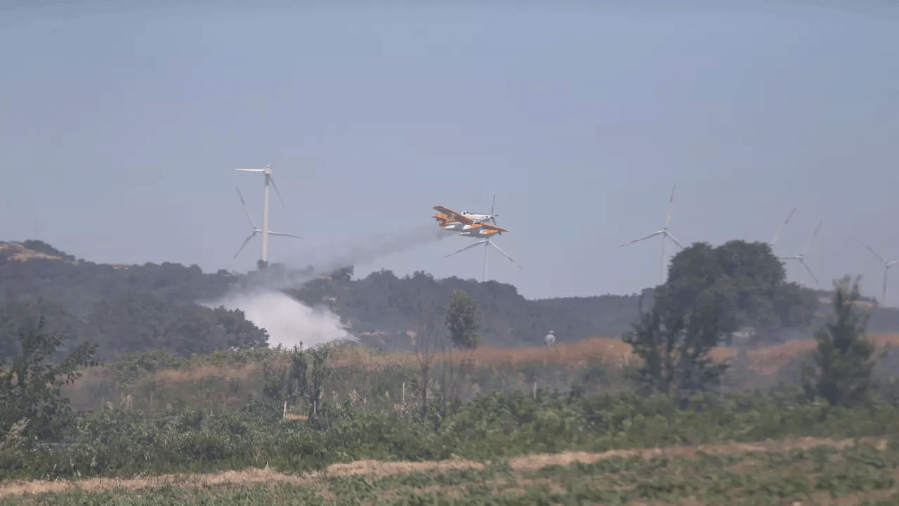 Vatandaşlara uyarı yapıldı: 6 ayda 1200 tane görüldü!