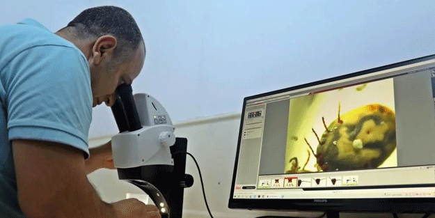 Vatandaşları böyle uyardı: Kesinlikle dokunmayın