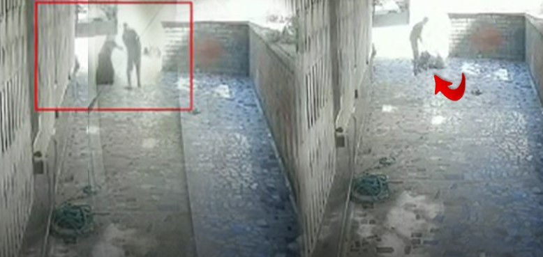 Vay vicdansız: 101 yaşındaki ev sahibinin kalçasını kırdı!