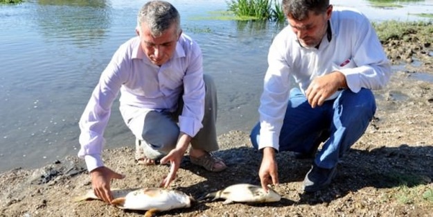 Ve beklenen adım atıldı!