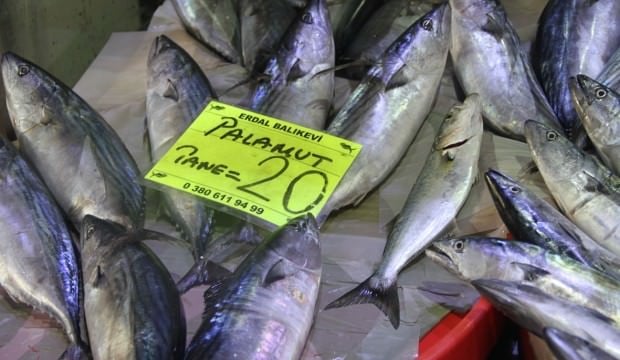 Ve fiyatlar 20 liraya kadar arttı