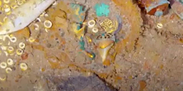 Ve gizli hazine bulundu! İçindeki altınlar ortaya saçıldı