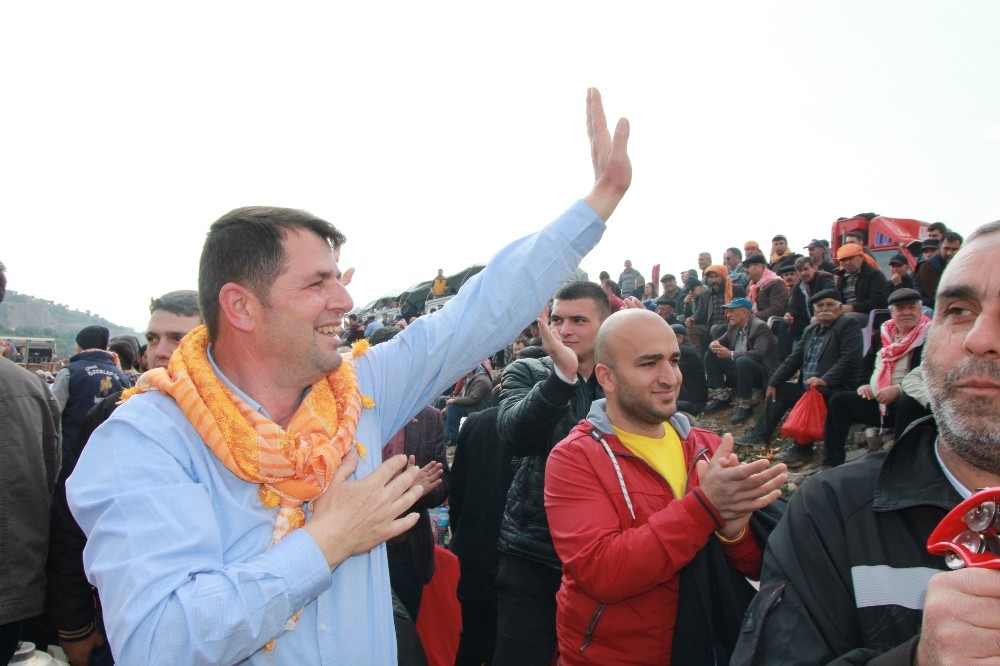 Veli Tuna, Köşk deve güreşlerine katıldı 