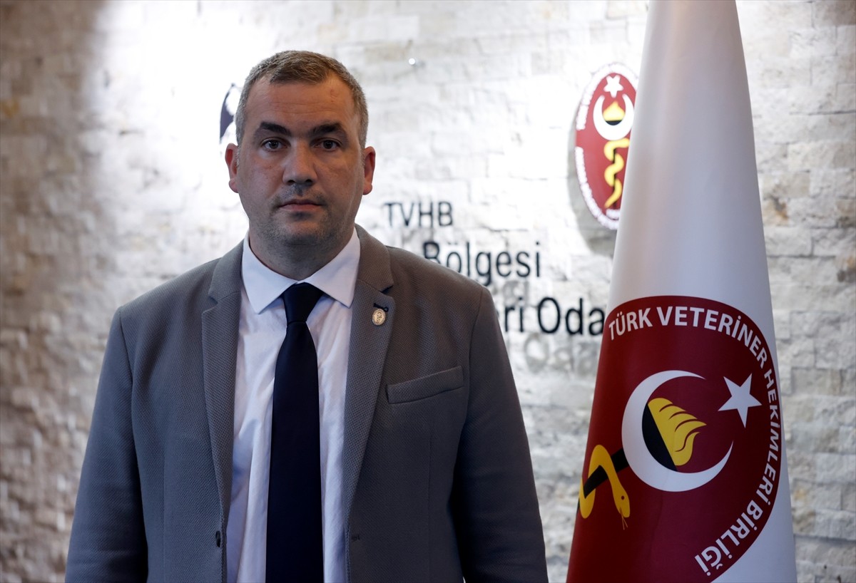 Veteriner hekimler isyanda! ‘Artık yeter’