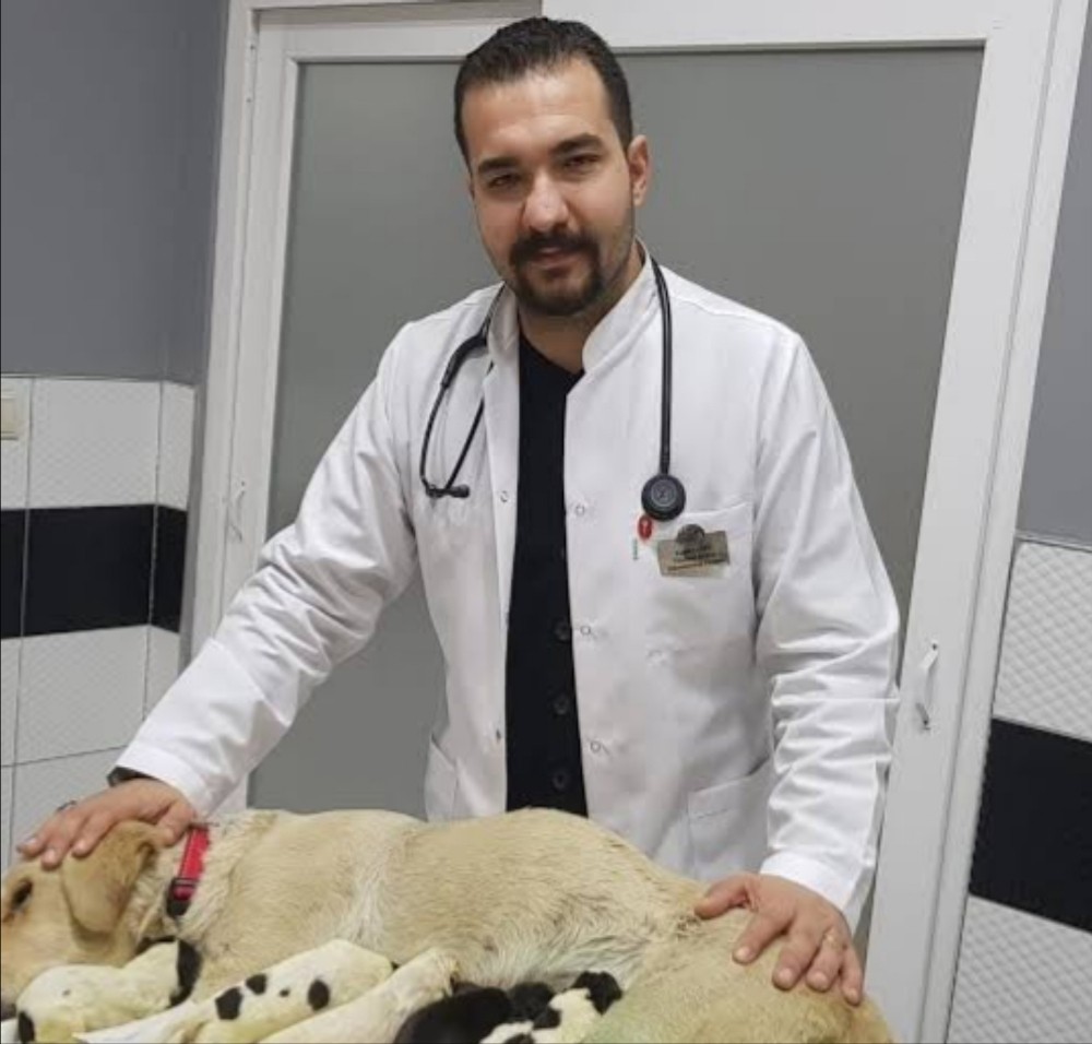 Veteriner Hekimleri Odası Başkanı Şahin, “Evcil hayvan sahipleri tedirgin olmasın” 