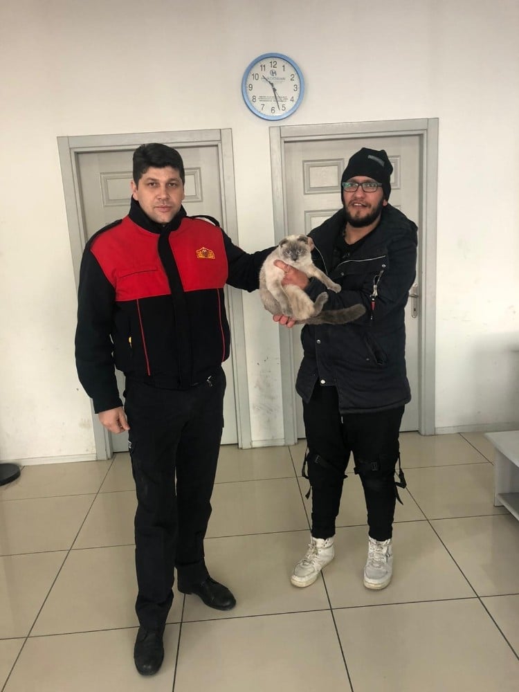 Veteriner kliniği çıkışı sahibinden kaçarak panoya saklanan ev kedisini itfaiye kurtardı 
