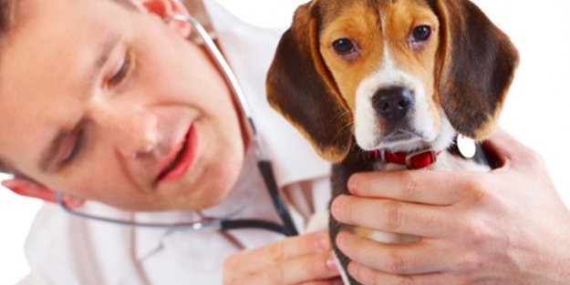 En çok aranılan meslek oldu!