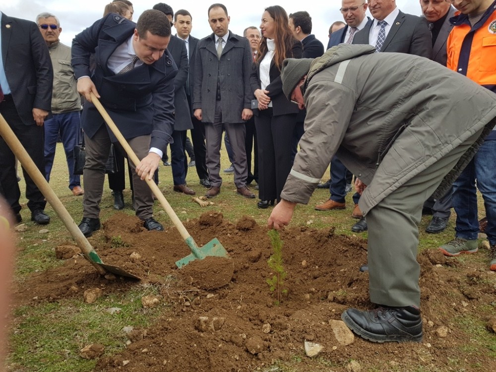 Vezirköprü’de ‘Adalet Ormanı’na 500 fidan 