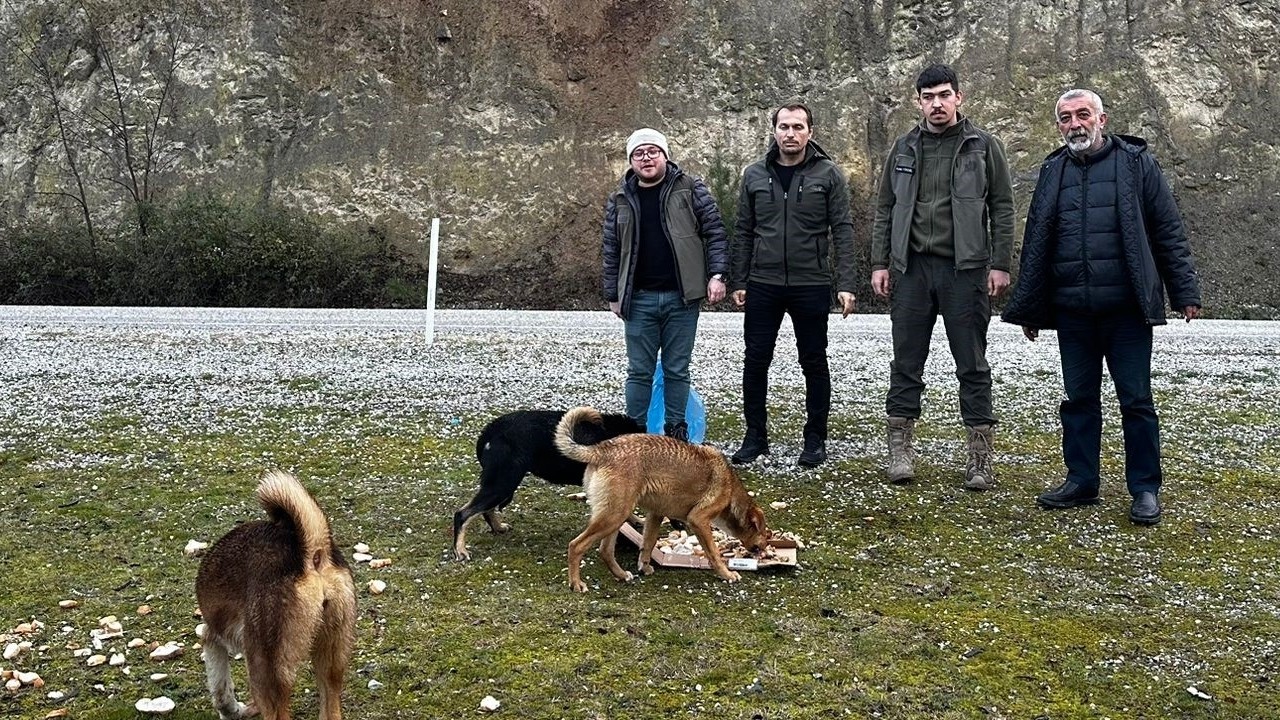 Vezirköprü'de avcılar ve yetkililerden yaban hayvanlarına destek