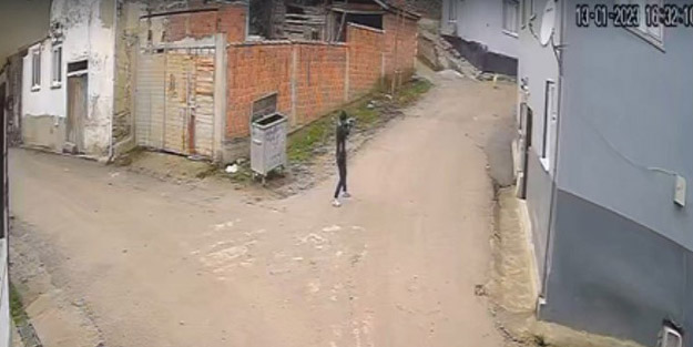 Vicdansız! Kovaladığı sokak köpeğini pompalı tüfekle öldürdü