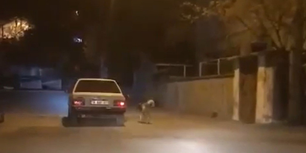 Vicdansız! Otomobile bağladığı köpeği sokakta koşturdu