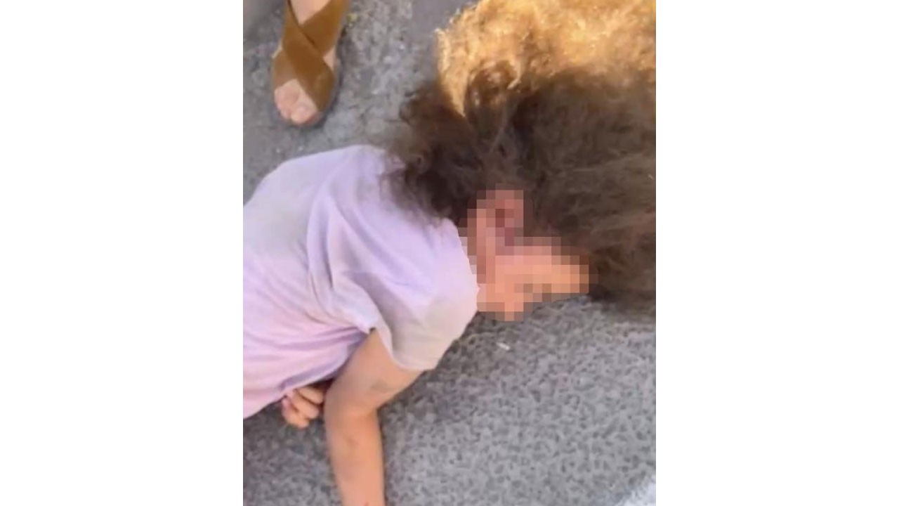 Vicdansız sürücü çarpıp kaçmıştı... Kurtarılamadı