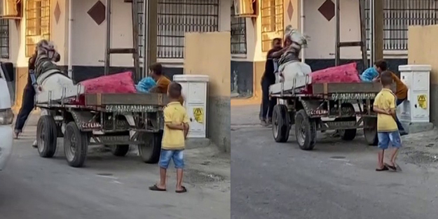 Vicdansız! Zavallı atı dakikalarca yumruklayıp eziyet etti