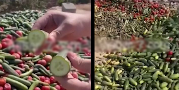 Vicdansızlar! Gıda fiyatlarında oynanan oyun böyle ifşa oldu