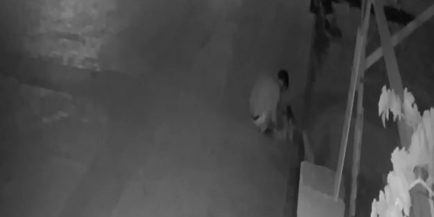 Vicdansızlar! Kedileri poşetin içine koyup...