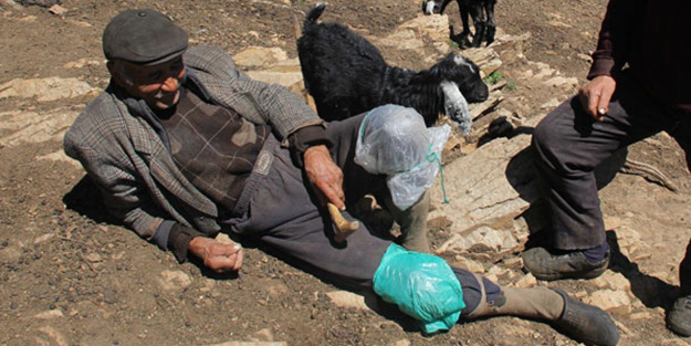Villada yaşayacak parası var ama naylon çadırda yaşıyor!
