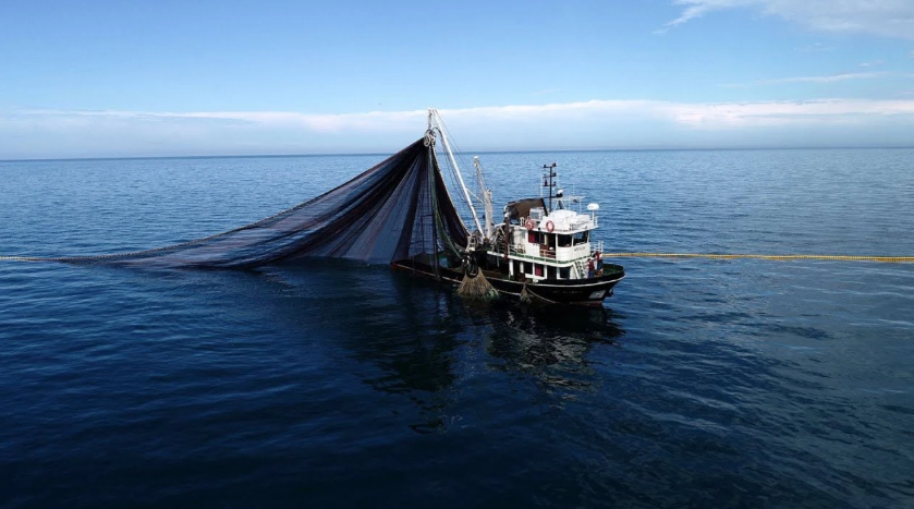 Vira Bismillah! Av yasağı yarın bitiyor