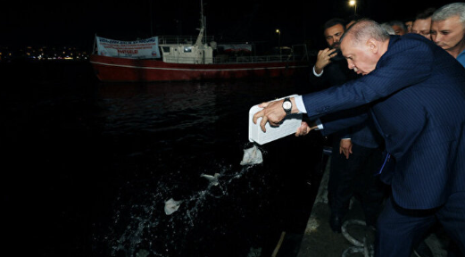 Vira Bismillah! Erdoğan denize balık bıraktı