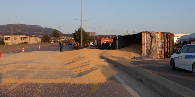 Virajı alamayan TIR devrildi! Tonlarcası yola saçıldı