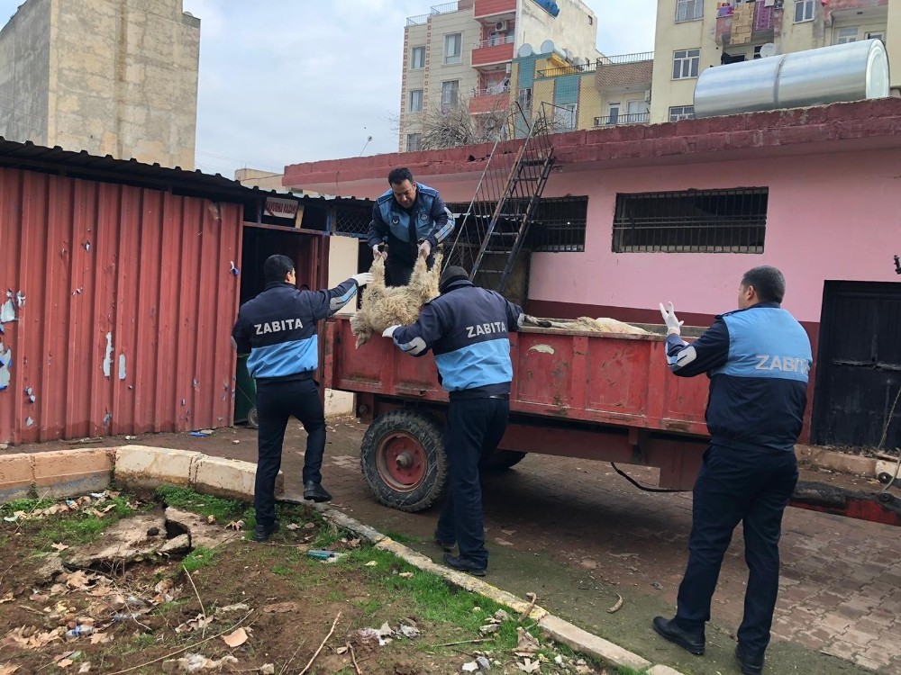 Viranşehir’de sağlık tacirlerine operasyon 