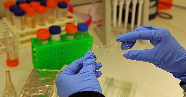 Virüsler sabahları daha etkili