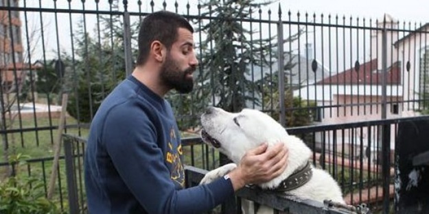 Volkan Demirel'e teklif var