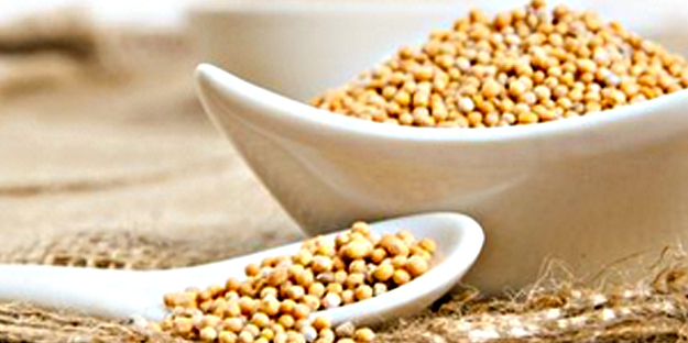 Vücuda güzellik aşılıyor! Bunu yiyen çok uzun yaşıyor: Bilim insanları önerdi! Neler ve ne kadar etkili?