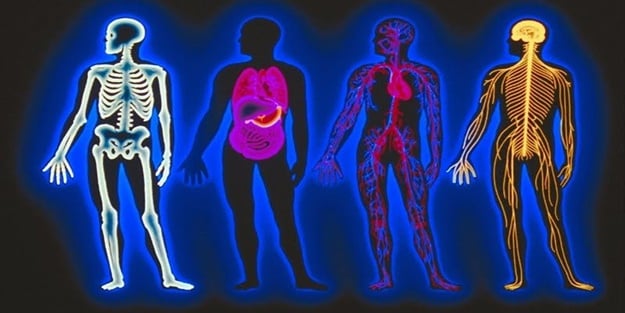 Vücudumuzu ne kadar tanıyoruz? Vücudumuzla ilgili hiç bilmediğimiz 20 gerçek