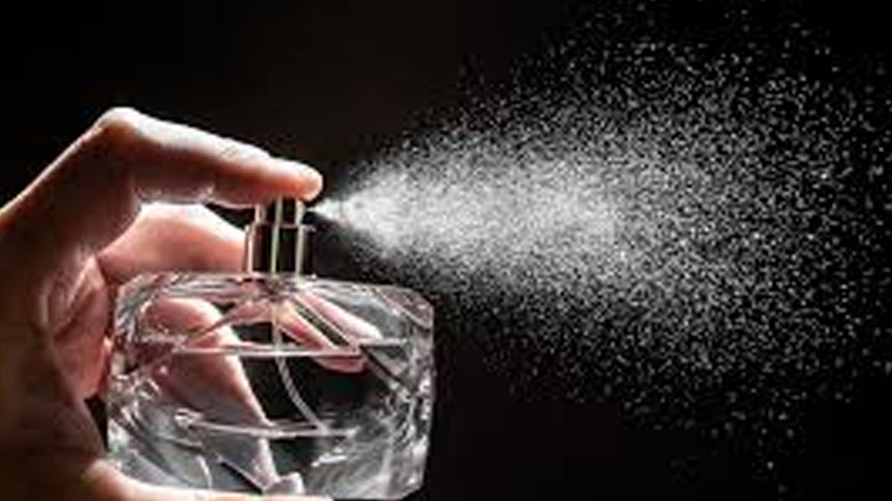 Bilmeden yaşıyoruz: İşte adını bile duymadığımız, vücudumuzun 20 gizemli yeri