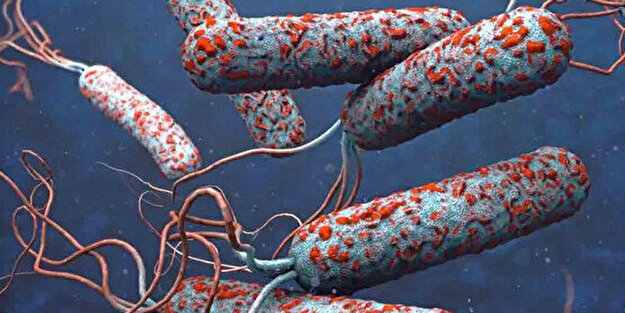 Vücudunuz sinyal veriyor: Bu belirtilere dikkat ölüme bile sebep olabilir!