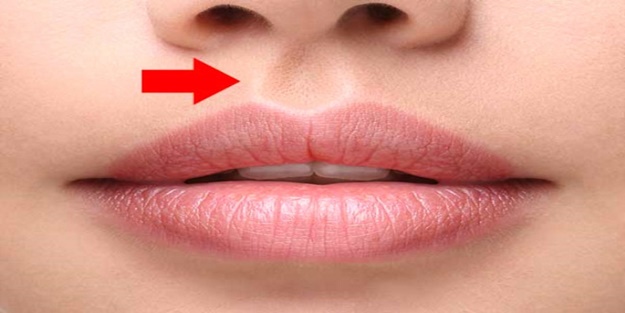 Vücudumuzda ne işe yaradığını dahi bilmediğiniz 7 kısım