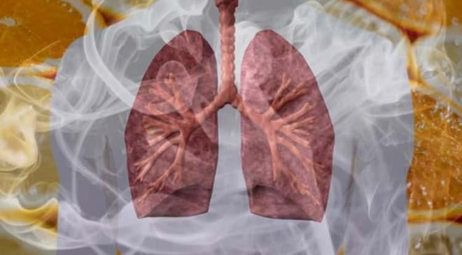 Vücudunuzdan nikotini temizleyen 11 besin: Yaptığı görevlere şok olacaksınız, kimse beklemiyordu!