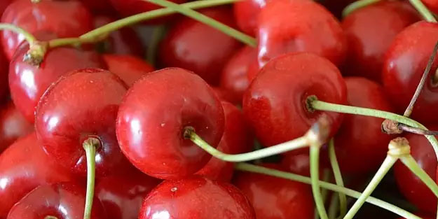 Vücutta sıvı kaybını önleyen besin: Karpuz, mısır...! Günlük sıcaklarda bol bol tüketin: Hepsi mineral deposu