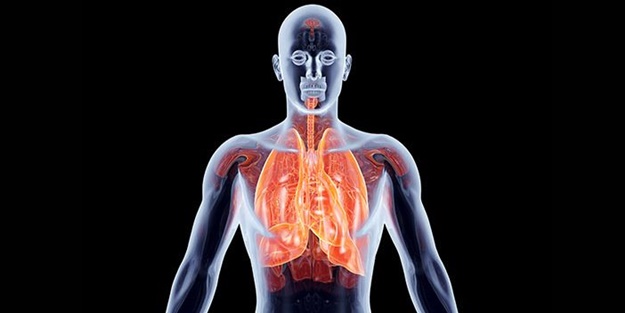 Vücutta tüm organları besleyen güç