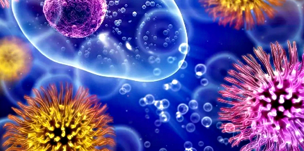 Vücuttaki iltihabı eritiyor! Birçok sağlık sorunları için 14 gün yapılacak: İç organları tertemiz yapıyor! Şimdi deneyin