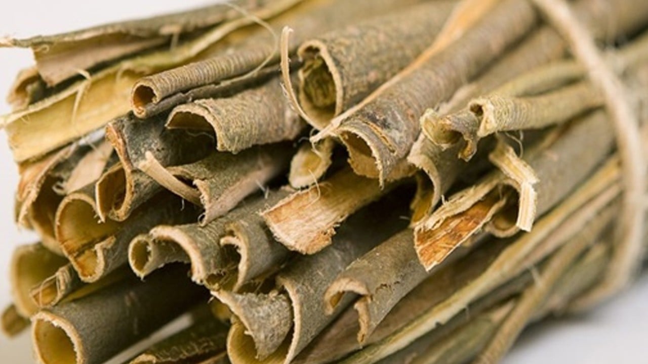 Vücuttaki iltihapları kurutuyor: Binlerce yıldır etkili olan dünyanın en eski ağrı kesicisi! Şifası şaşkına çeviriyor