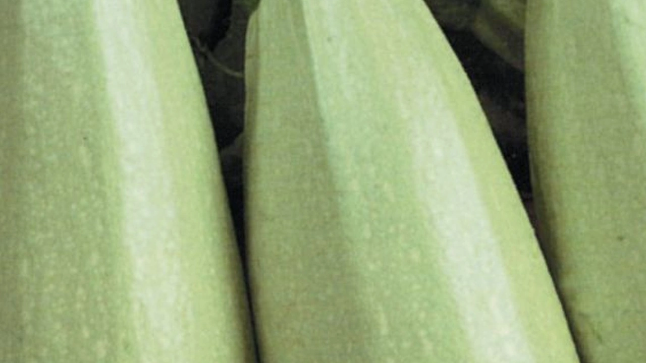 Vücuttaki ürik asidi düşürebilecek 8 besin: Bilim insanları sonucunu tahmin ediyor! Kabak yerseniz...