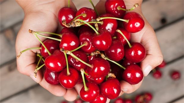 Vücuttan ödemi atın!