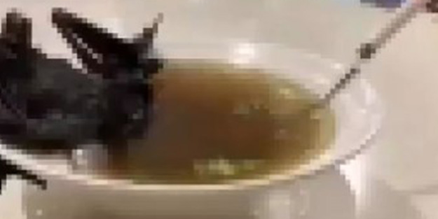 Vuhan korkunç yemeği araştırdı! 1500 farklı koronavirüs