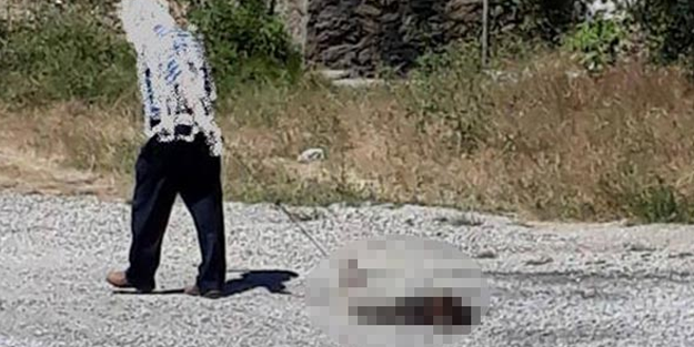Vurduğu boz ayı yavrusunu yolda sürükleyen caniye 17 bin TL ceza!