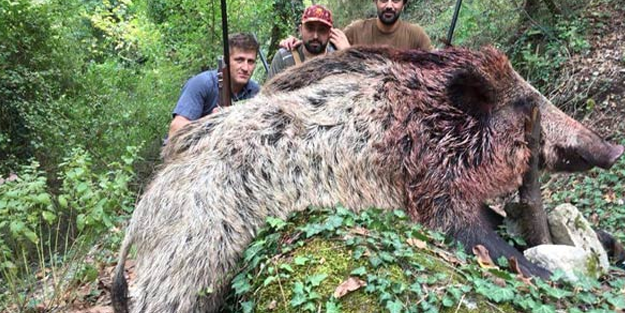 Vurdukları 350 kg'lik domuzla fotoğraf çektirdiler