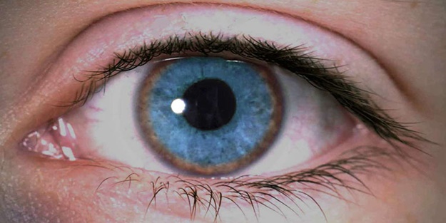 Wilson hastalığı nedir?