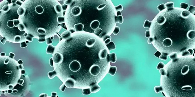 X virüsü nedir? Covid-19’dan 20 kat daha ölümcül: X hastalığı (X disease) nasıl belirtileri, tedavisi var mı?