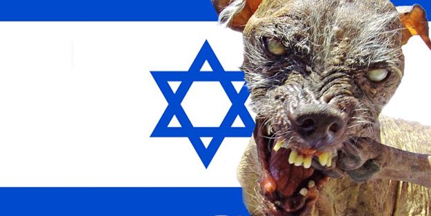 'Ya tam susacaksınız ya kan kusacaksınız'