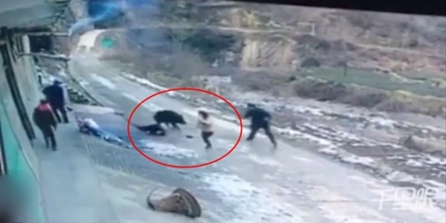 Yaban domuzu genç kadını böyle öldürdü