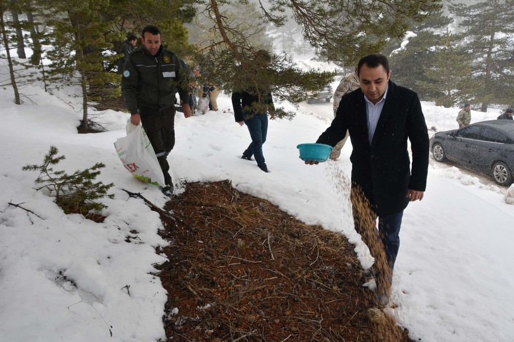 Yaban hayatı için seferber oldular 