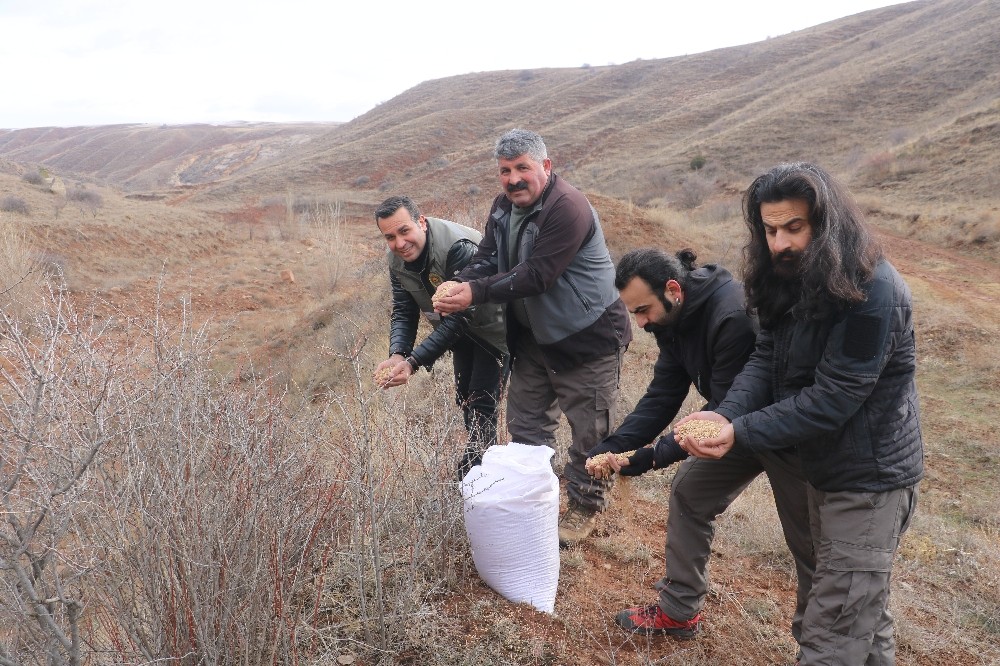 Yaban hayatı unutulmadı 